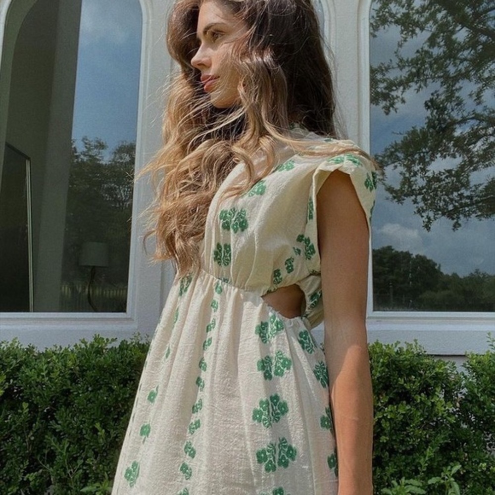 Zara Embroidered Floral Cut Out Dress